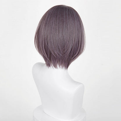 BoomCosplay Spiel Wuwa Cosplay Denia Pink Lila Blau 100cm Perücke